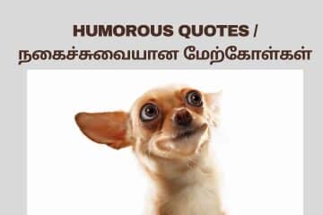 A photo of a Chihuahua dog looking upwards with a surprised and amused expression. The dog is surrounded by text in Kadi Jokes in Tamil wealthy tamilan