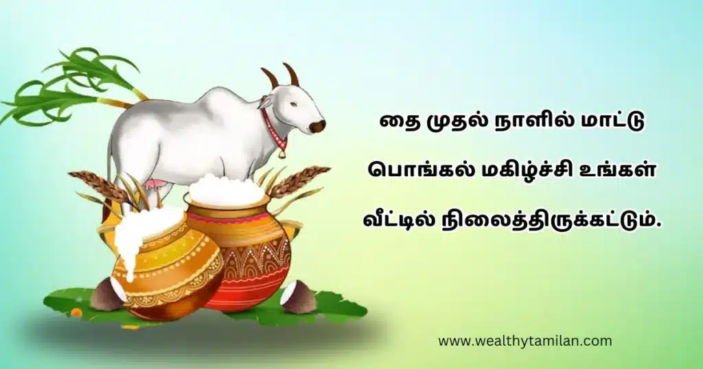 An illustration featuring a traditional bull and decorated pots of rice, with text in mattu pongal wishes in tamil "தை முழல் நள்ளில் மாட்டு பொங்கல் மகிழ்ச்சி உங்கள் வீடில் நிலைத்திருக்கட்டும்