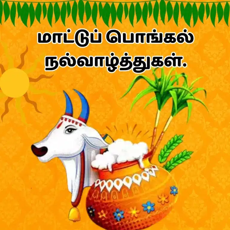 A vibrant illustration featuring a traditional bull alongside a decorated pot of rice and sugarcane, with text in mattu pongal wishes in tamil "மாட்டுப் பொங்கல் வாழ்த்துகள்.