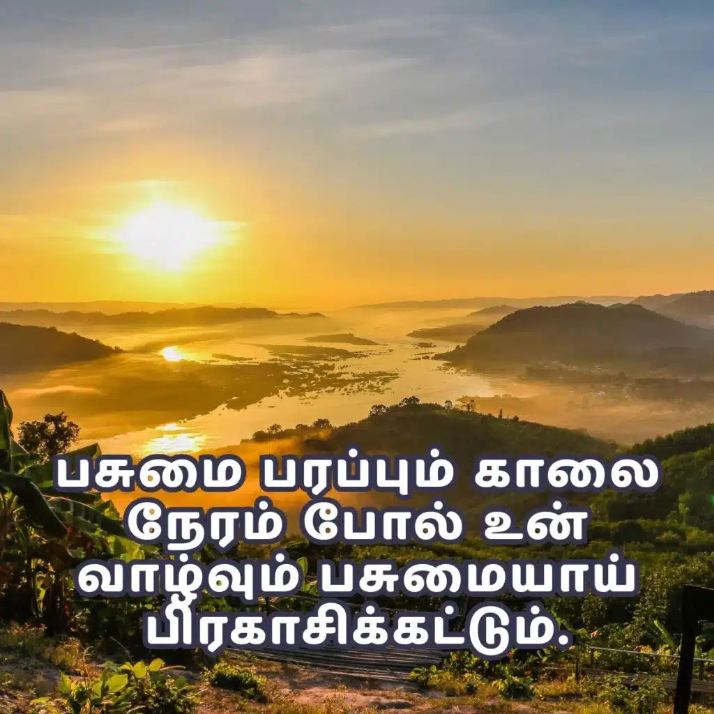 Good Morning Images in Tamil - காலை வணக்கம் மேற்கோள்கள் 100+ 4 good morning images in tamil , good morning images with quotes in tamil , good morning in tamil images , good morning images in tamil for whatsapp, good morning images with bible verse in tamil Good Morning Images in Tamil - காலை வணக்கம் மேற்கோள்கள்